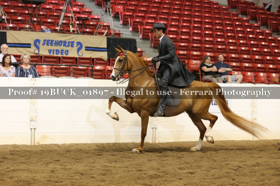 Proof 19BUCK_01897