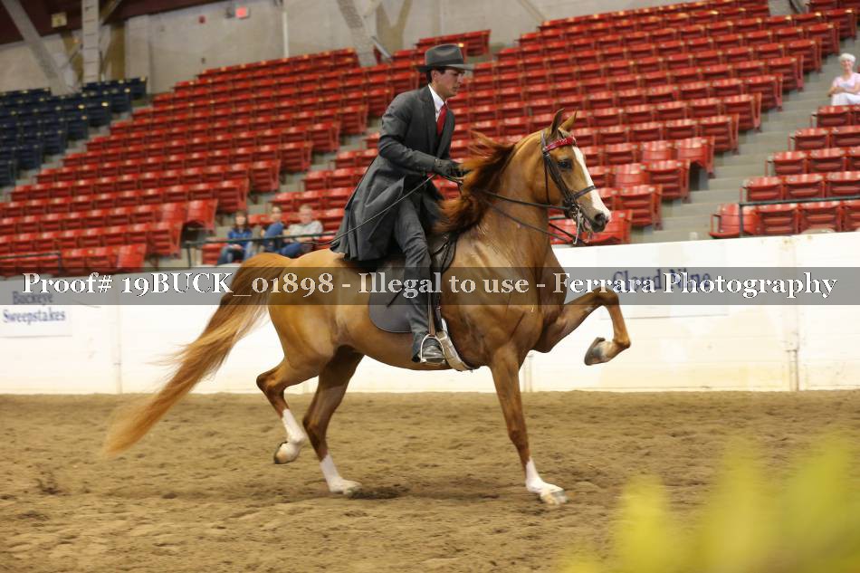 Proof 19BUCK_01898