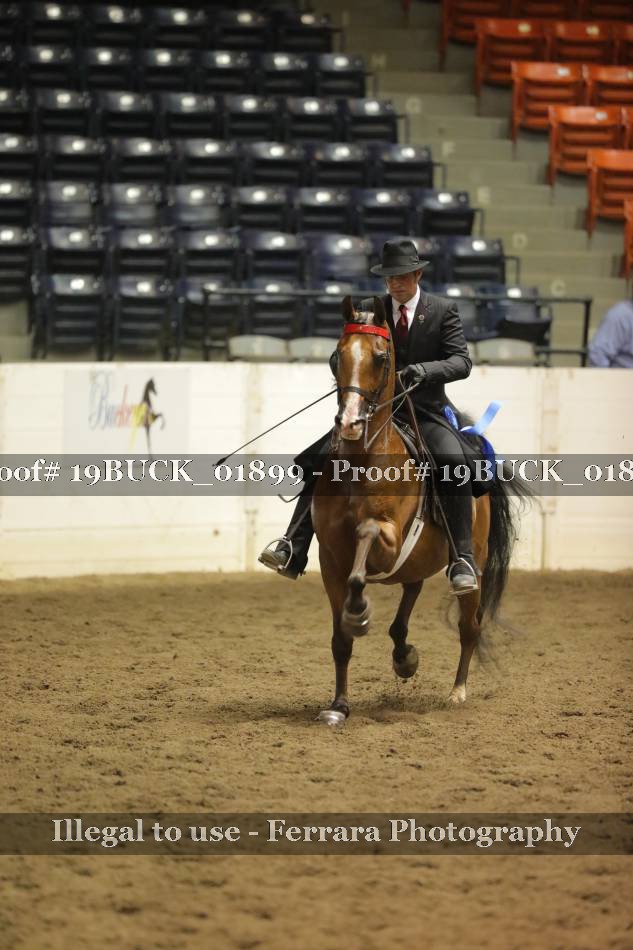 Proof 19BUCK_01899