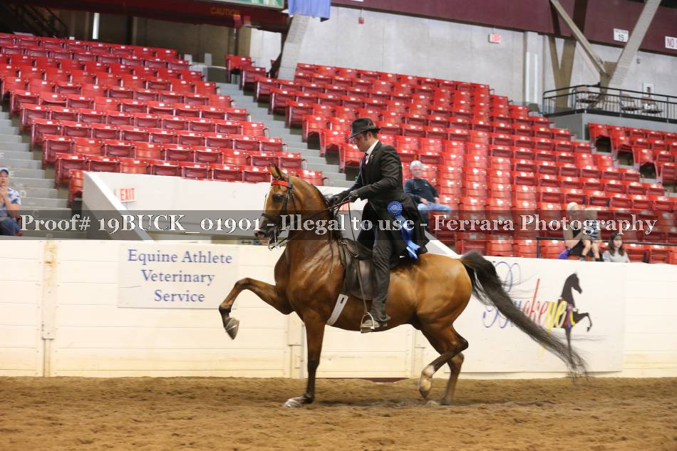 Proof 19BUCK_01901