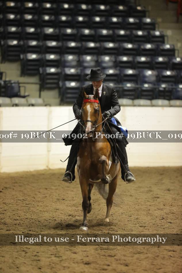 Proof 19BUCK_01902