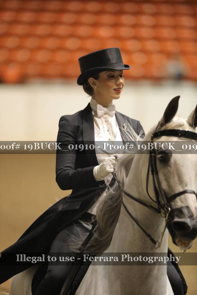 Proof 19BUCK_01910