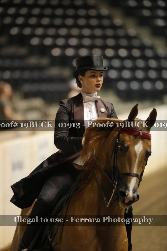 Proof 19BUCK_01913