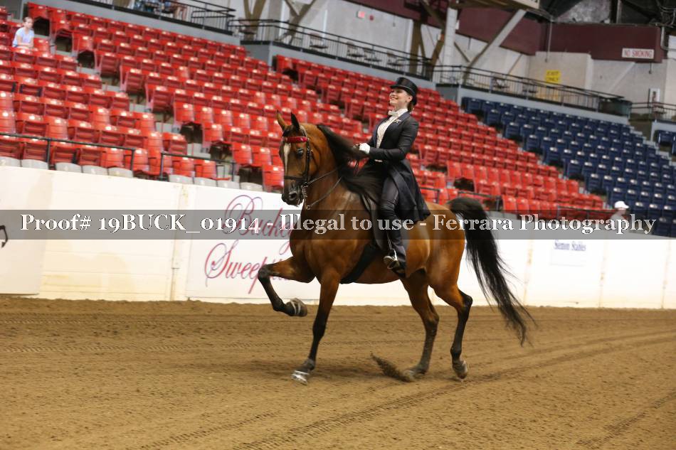Proof 19BUCK_01914