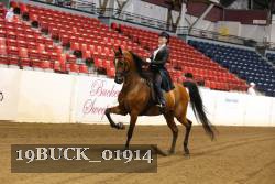 19BUCK_01914 proof