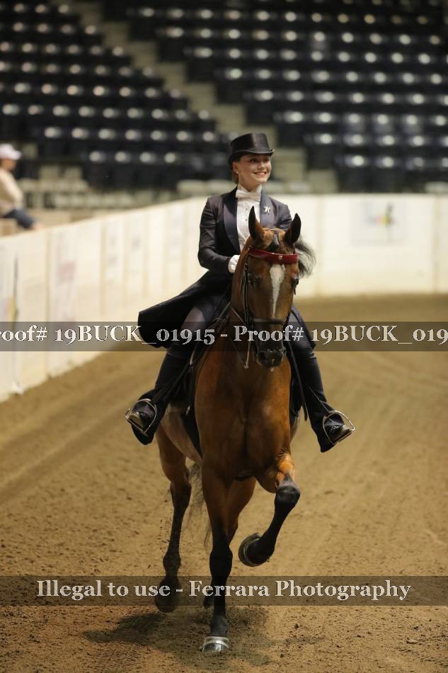 Proof 19BUCK_01915