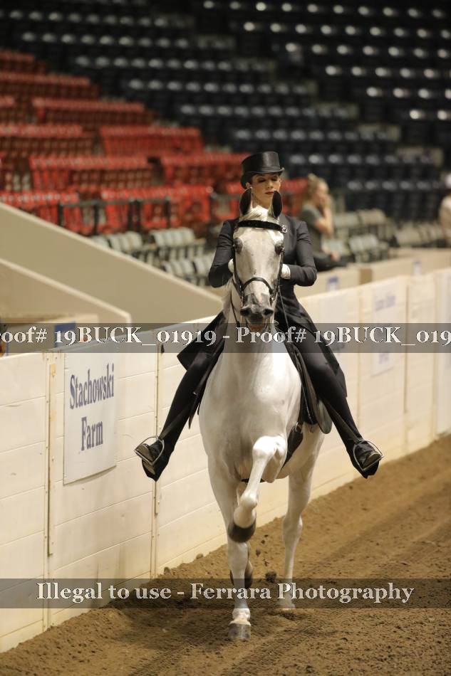Proof 19BUCK_01919