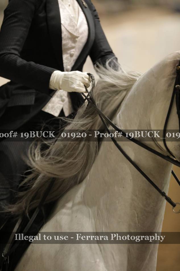 Proof 19BUCK_01920