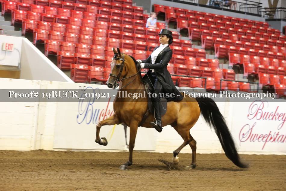 Proof 19BUCK_01921