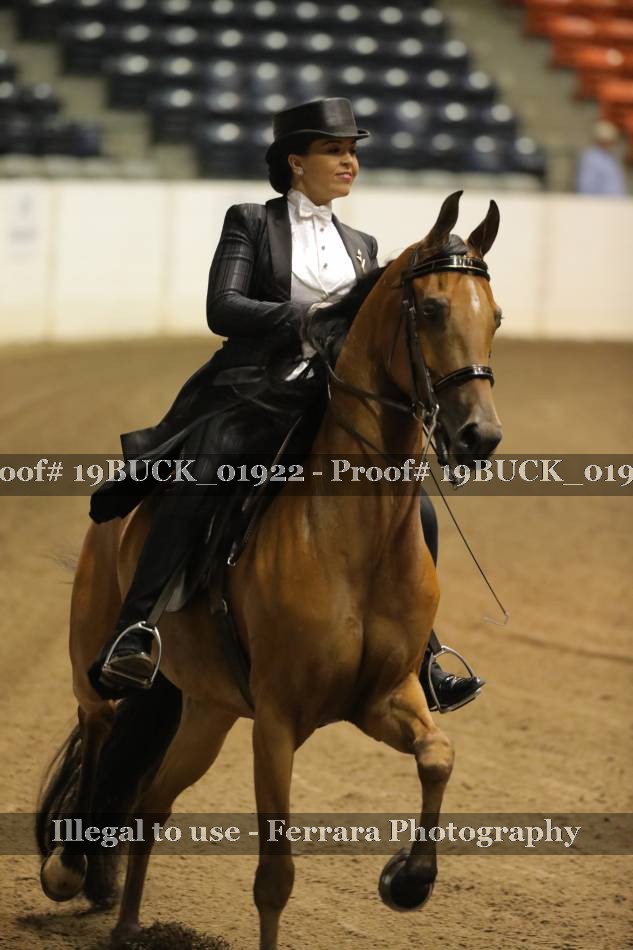 Proof 19BUCK_01922