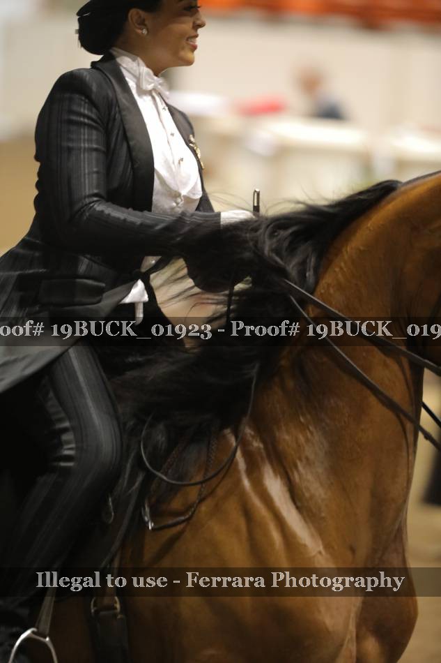 Proof 19BUCK_01923