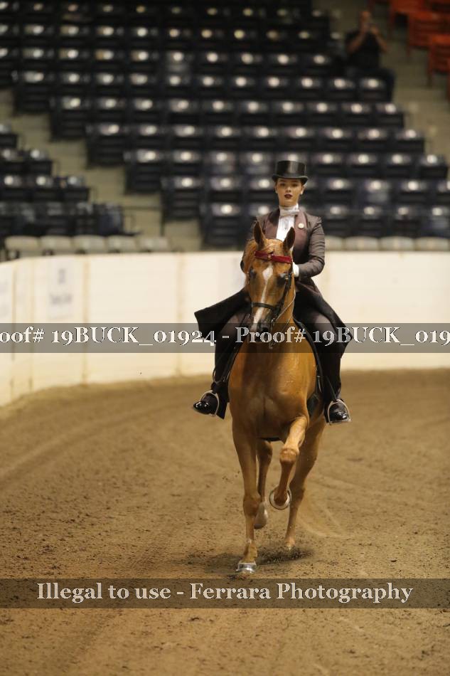 Proof 19BUCK_01924