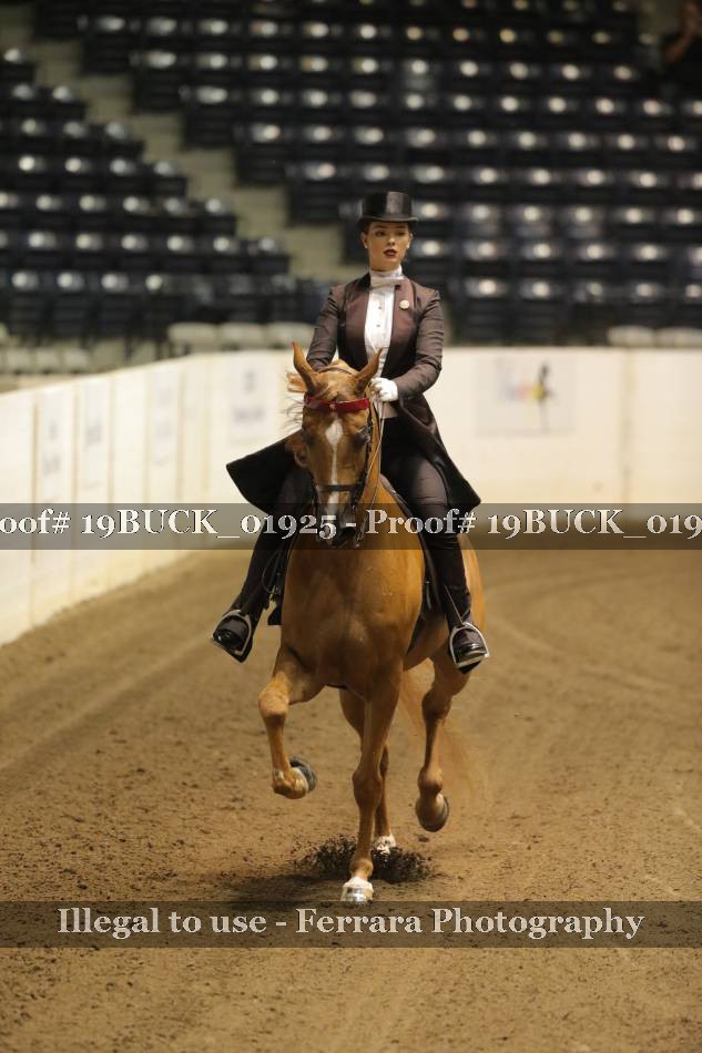 Proof 19BUCK_01925