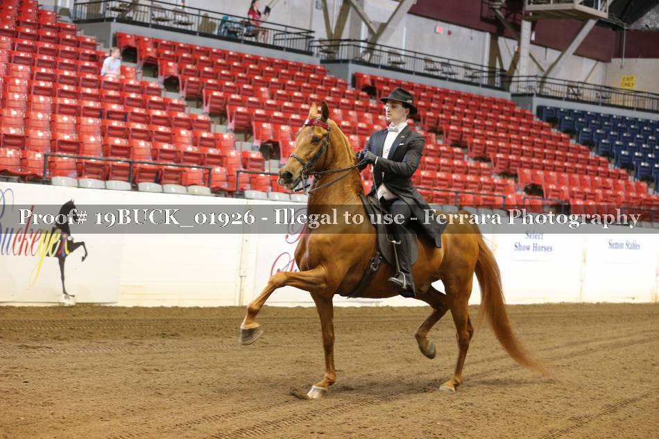 Proof 19BUCK_01926