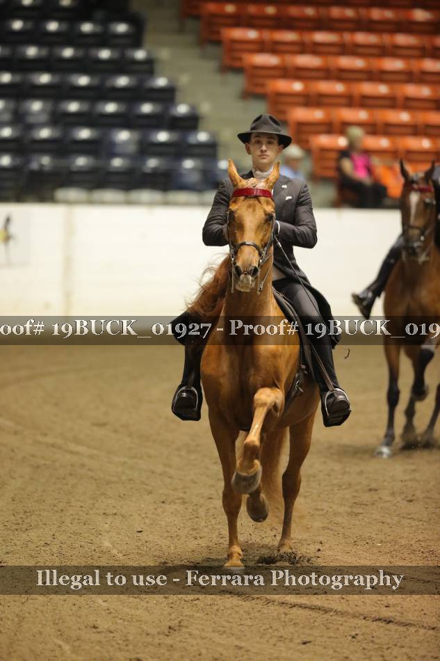 Proof 19BUCK_01927