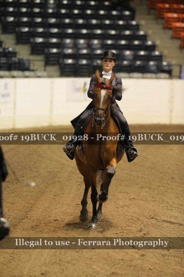 Proof 19BUCK_01928