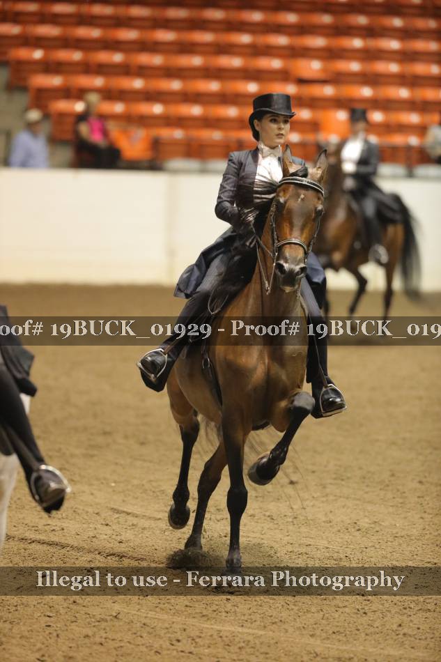 Proof 19BUCK_01929