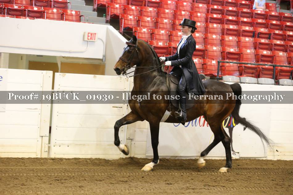 Proof 19BUCK_01930