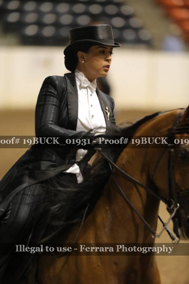 Proof 19BUCK_01931