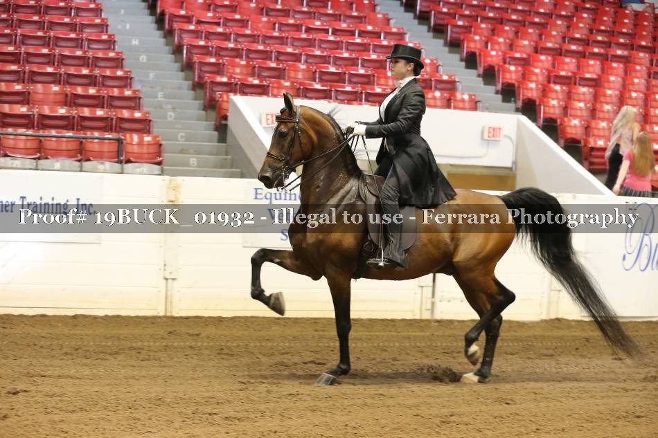 Proof 19BUCK_01932