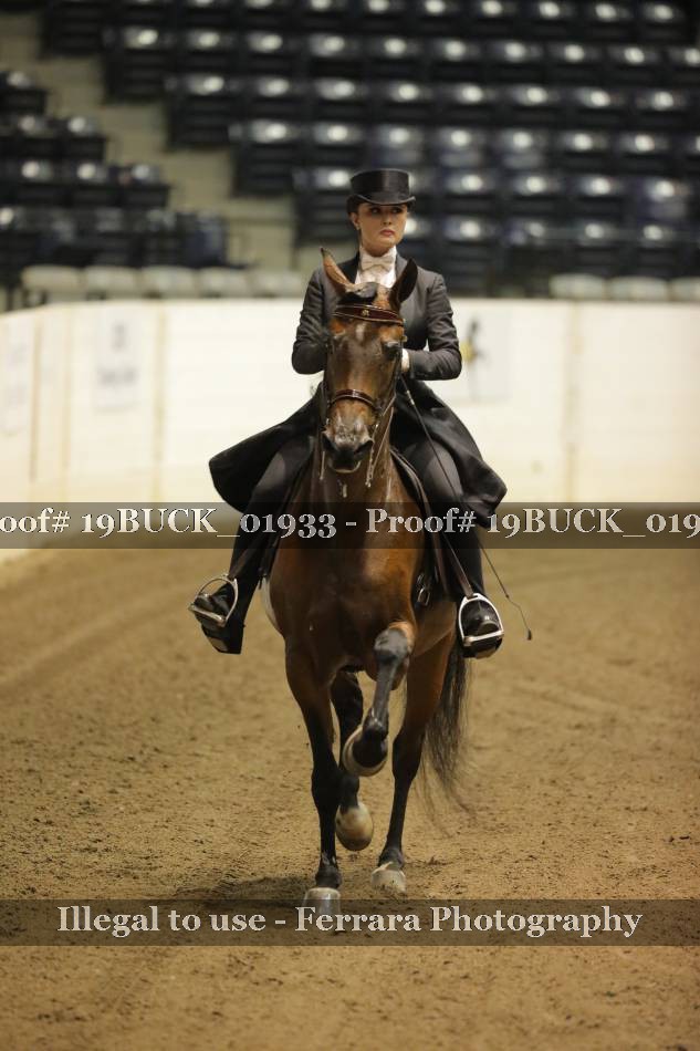 Proof 19BUCK_01933