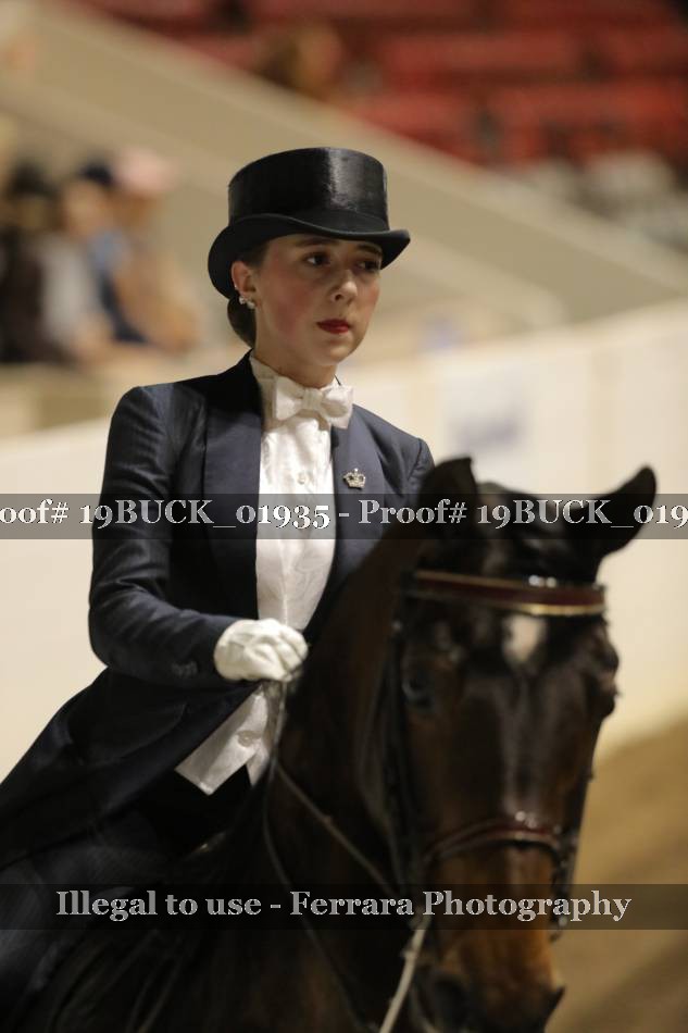 Proof 19BUCK_01935