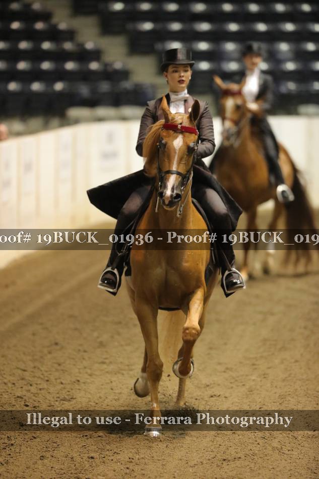 Proof 19BUCK_01936