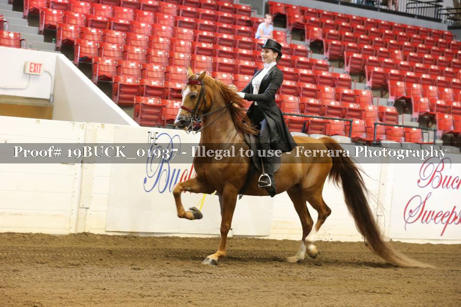 Proof 19BUCK_01937