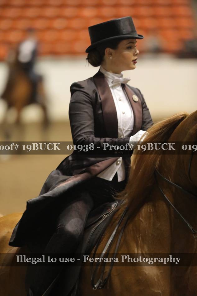 Proof 19BUCK_01938