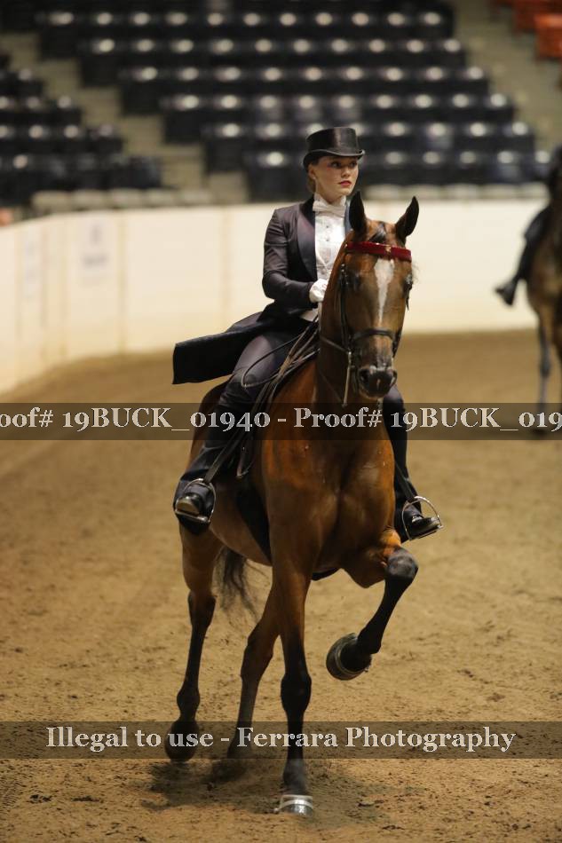 Proof 19BUCK_01940