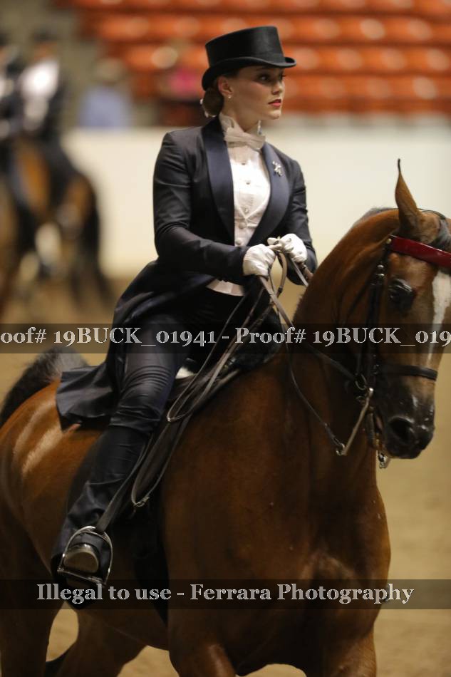 Proof 19BUCK_01941