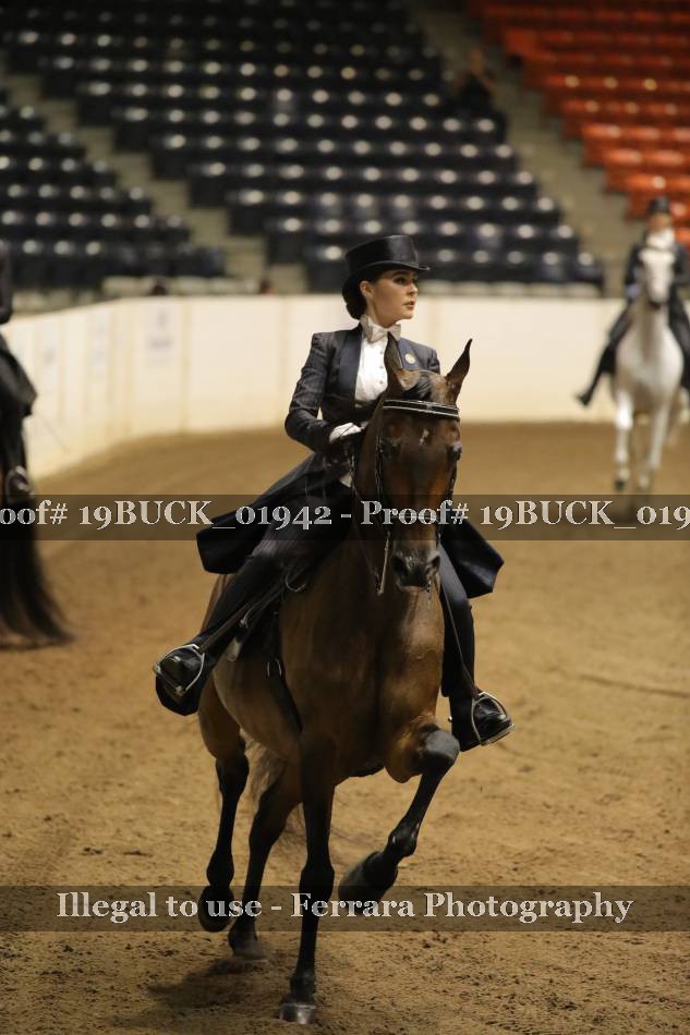 Proof 19BUCK_01942