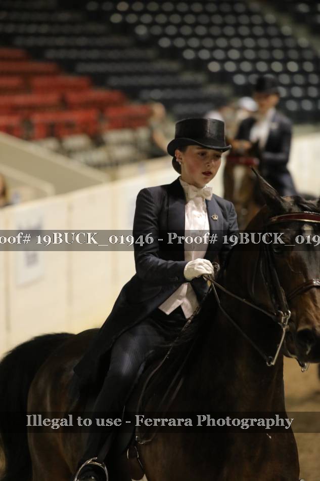 Proof 19BUCK_01946
