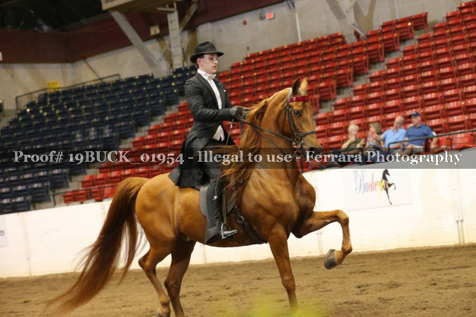 Proof 19BUCK_01954