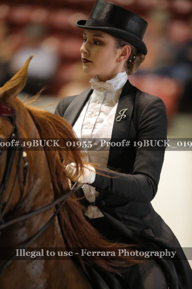 Proof 19BUCK_01955