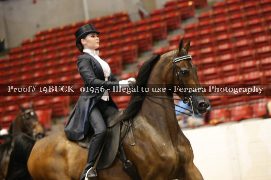Proof 19BUCK_01956