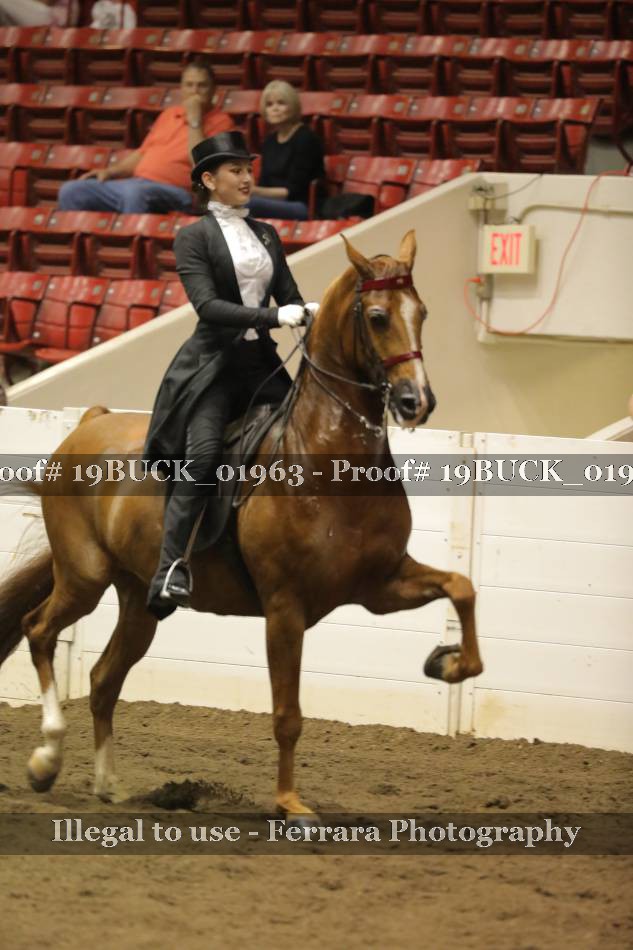 Proof 19BUCK_01963