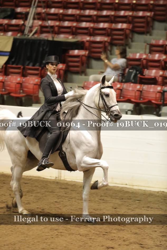 Proof 19BUCK_01964