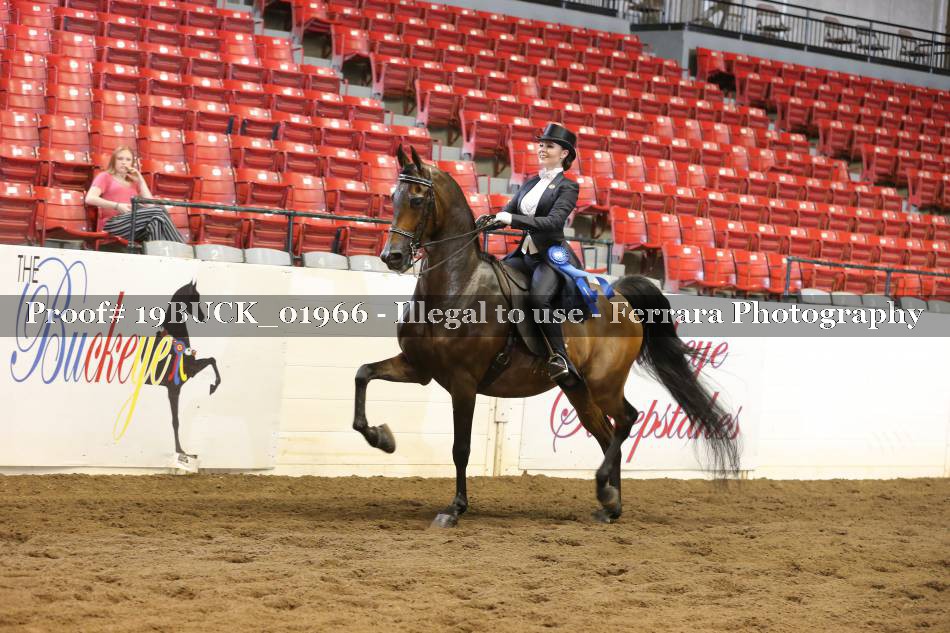 Proof 19BUCK_01966