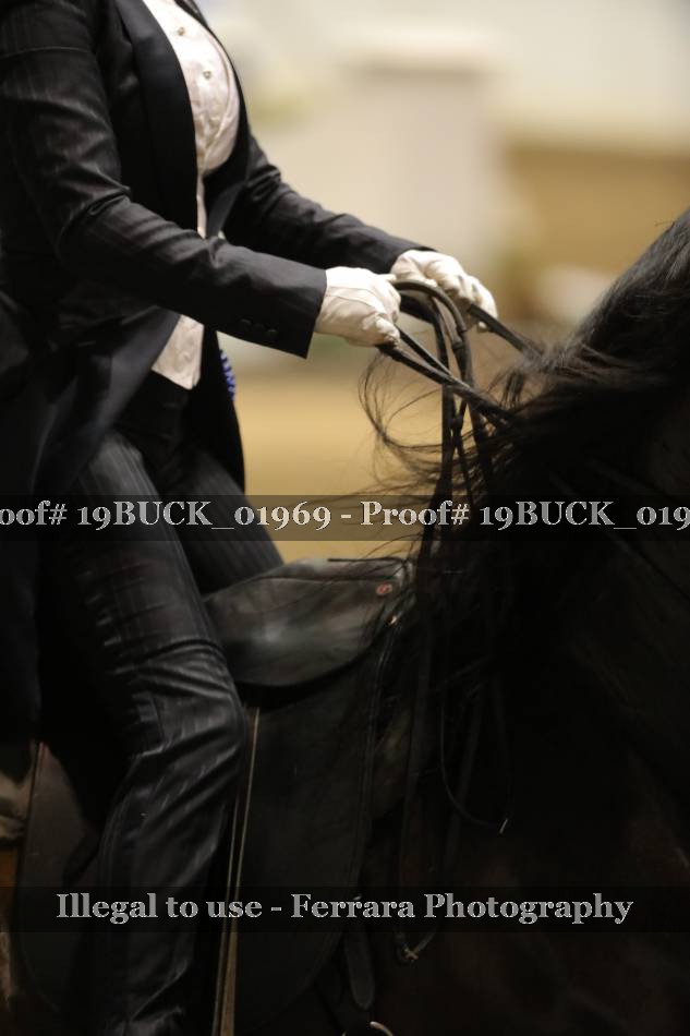 Proof 19BUCK_01969