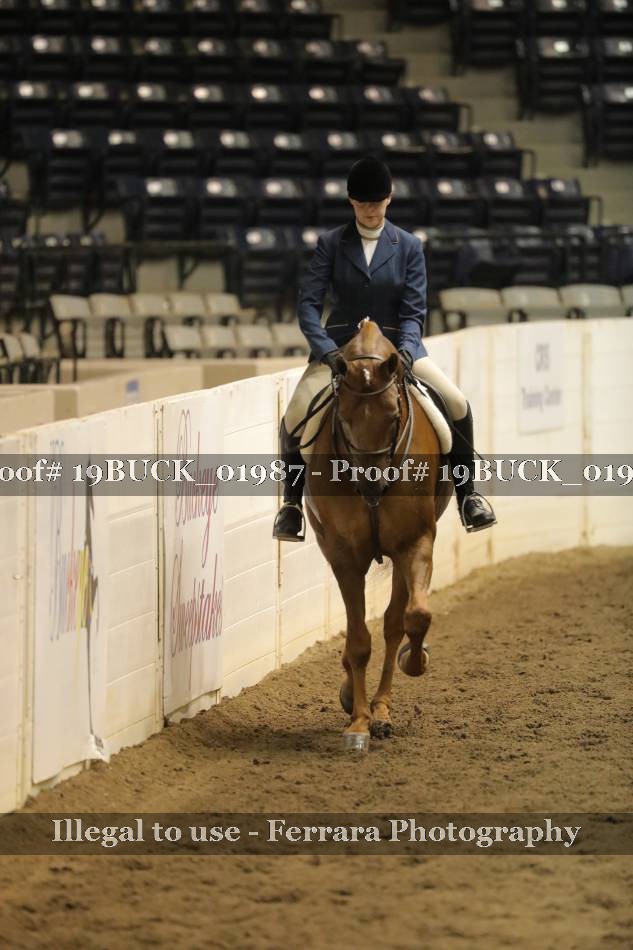 Proof 19BUCK_01987