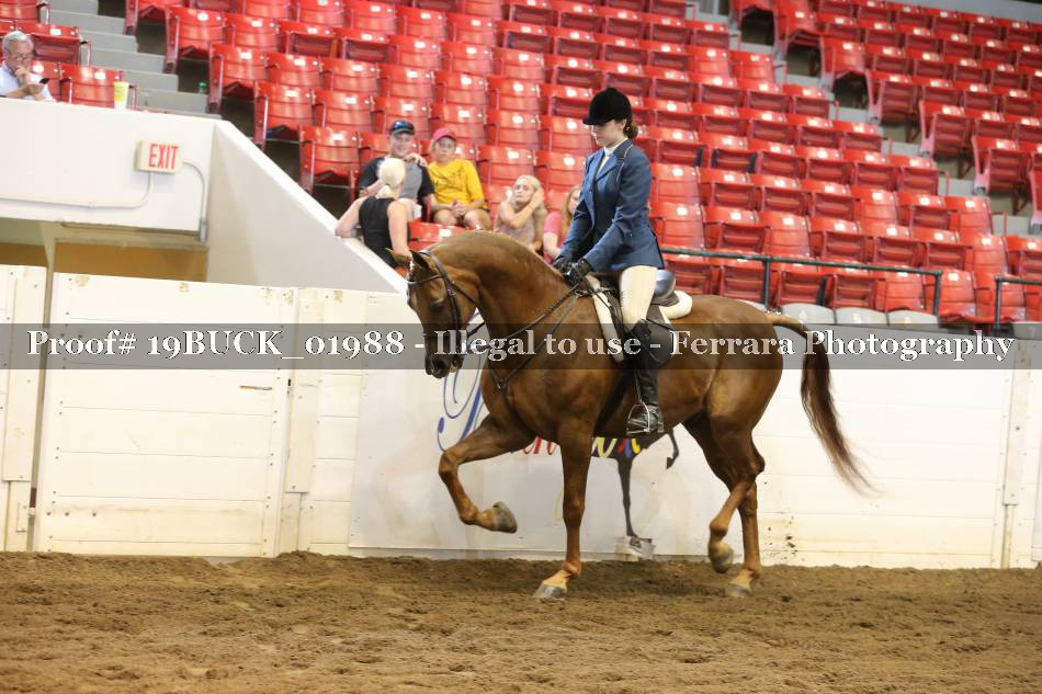Proof 19BUCK_01988