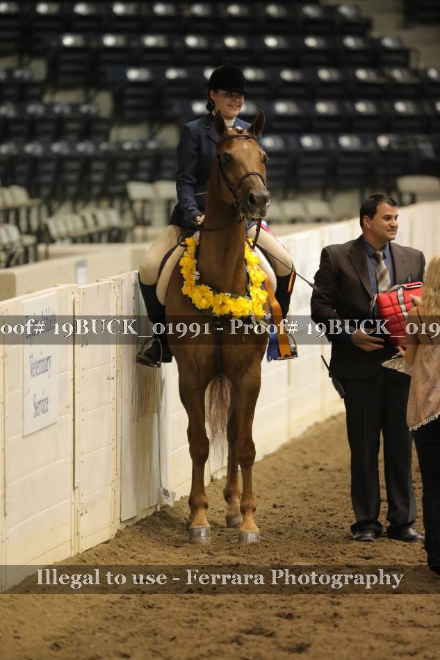 Proof 19BUCK_01991