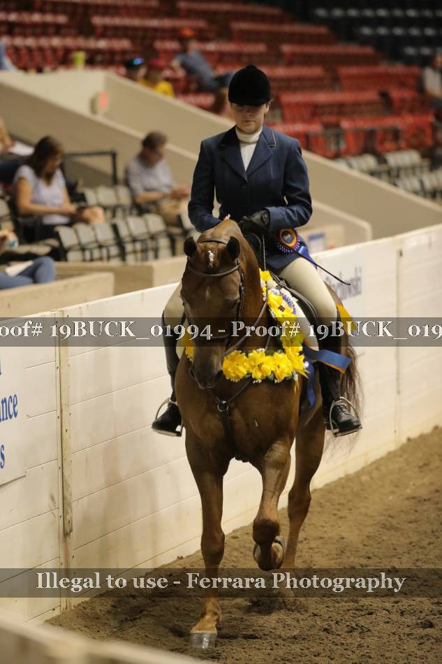 Proof 19BUCK_01994