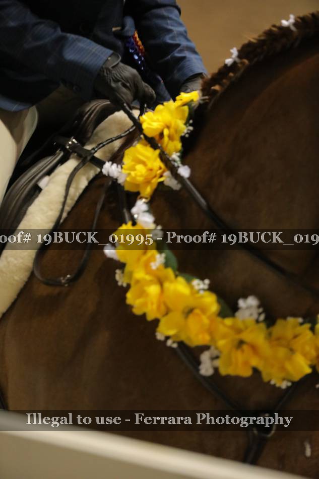 Proof 19BUCK_01995
