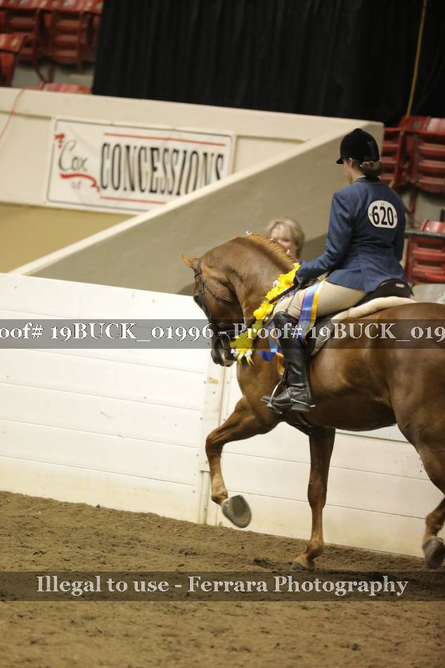 Proof 19BUCK_01996