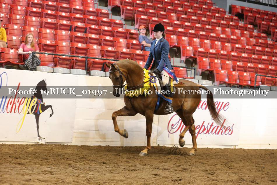 Proof 19BUCK_01997