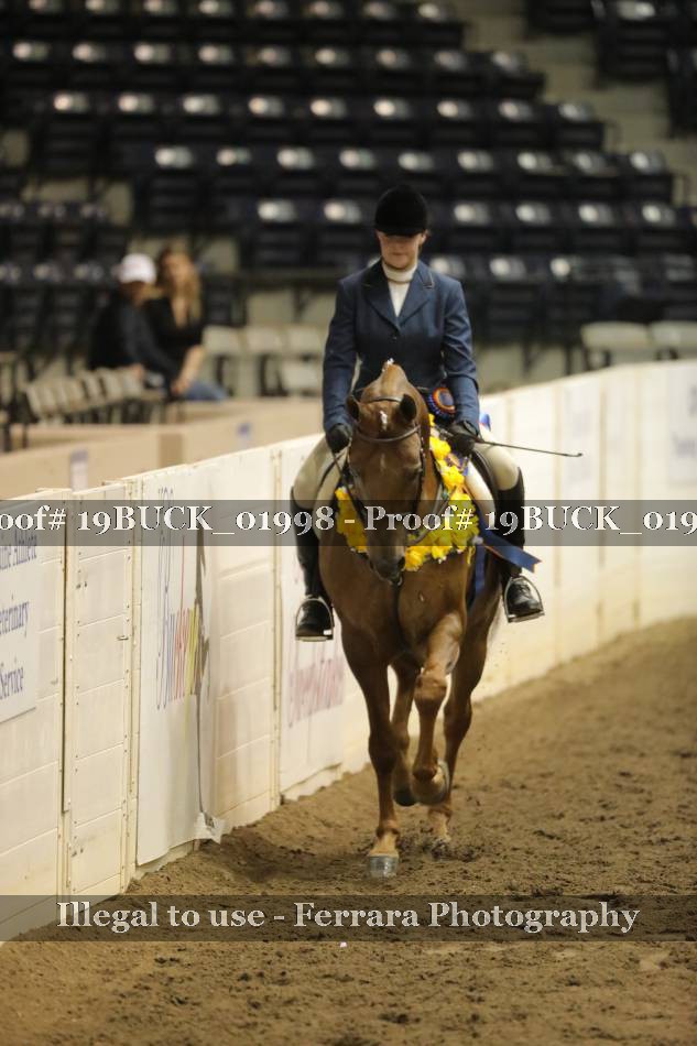 Proof 19BUCK_01998
