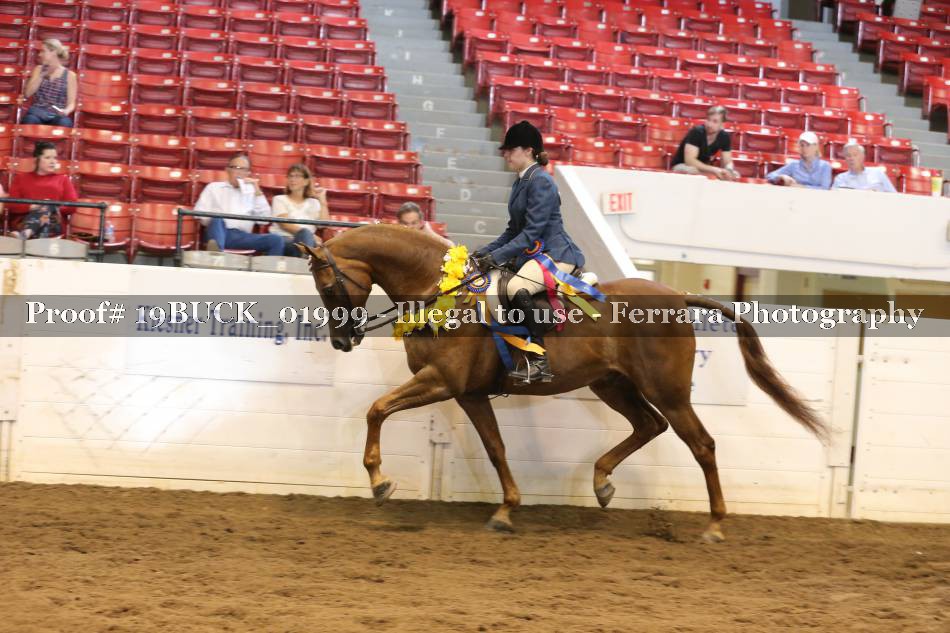 Proof 19BUCK_01999