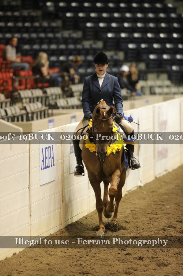Proof 19BUCK_02000